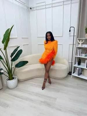 “Courtney” Mini Dress w/ Feather Detail