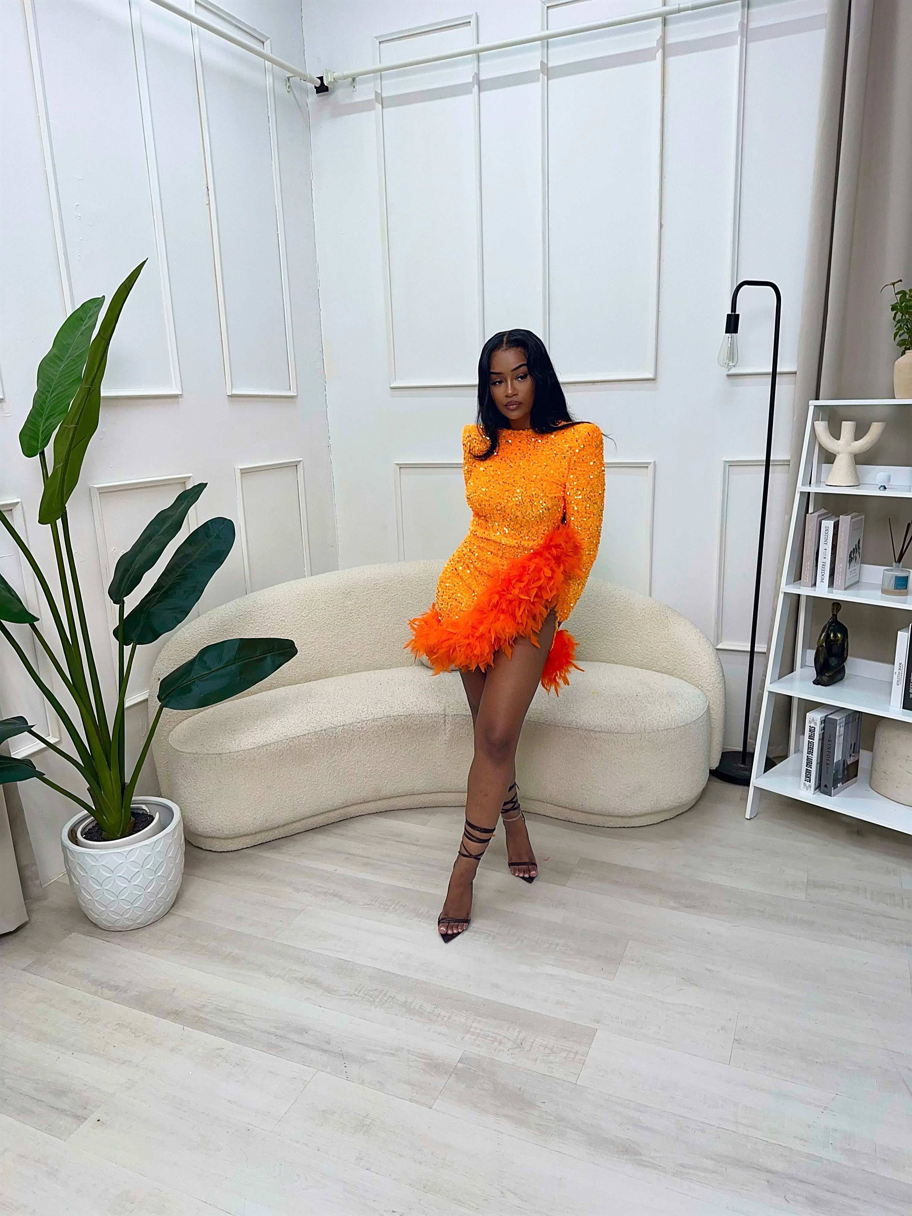 “Courtney” Mini Dress w/ Feather Detail