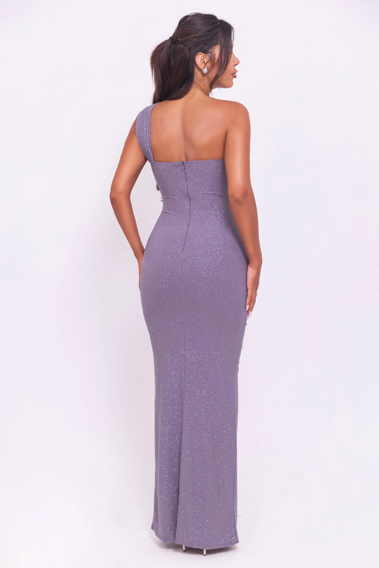 Lesa Silver Glitter Dress