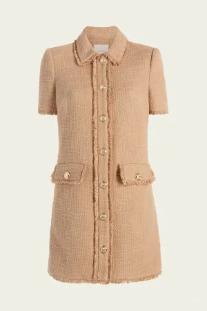 Pammy Mini Dress in Brown Sugar
