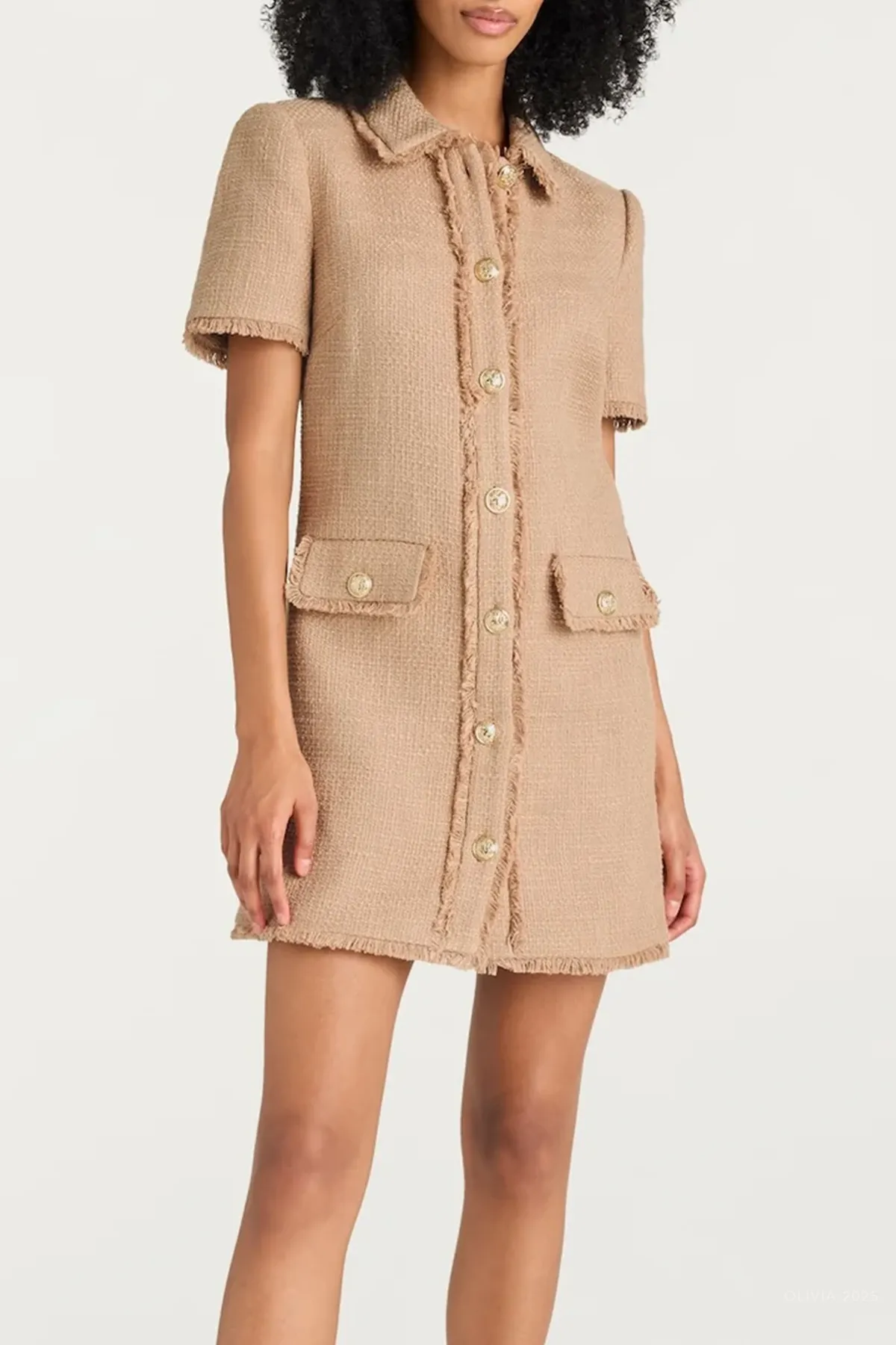 Pammy Mini Dress in Brown Sugar