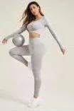 Seamless long-sleeved yoga set